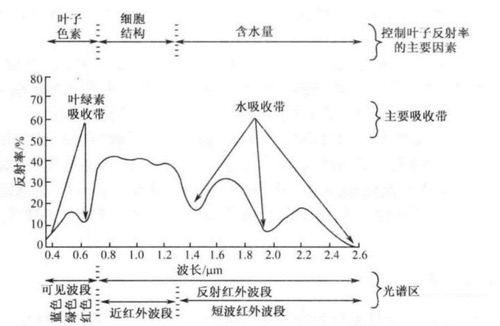 大疆智图植被计算